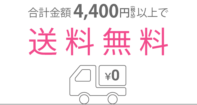 合計金額4,000円以上で送料無料