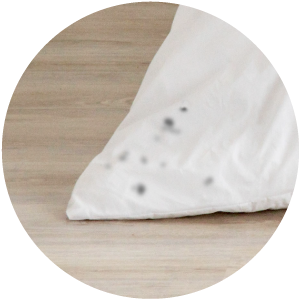 カビ取り（白物のみ）